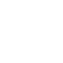 Apple Inc.
